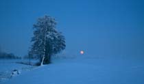 3-Winter-Mond_8440