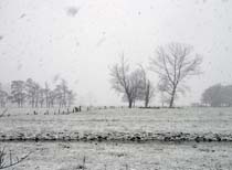 4-Schneeflocken