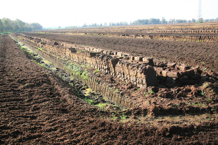 Altendorfer Moor_6863