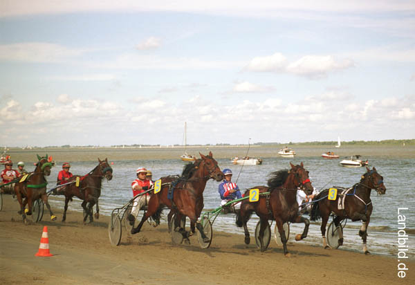 Krautsand-Pferderennen_05