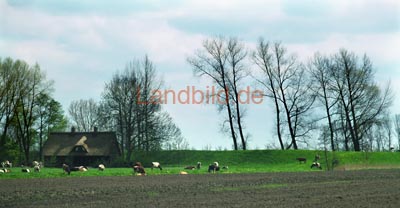 60-Grossenwoerden_05