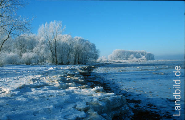 Winter-Krautsand
