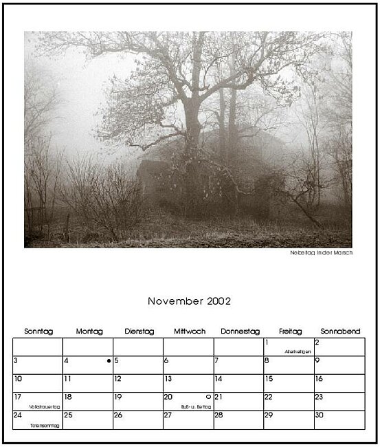 11-Nebeltag in der Marsch