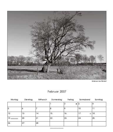 02-Hutebaum, Stinstedt