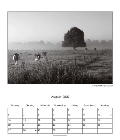 08-Nindorfer Moor, Lamstedt