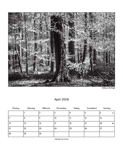 04-Wald in der Wingst