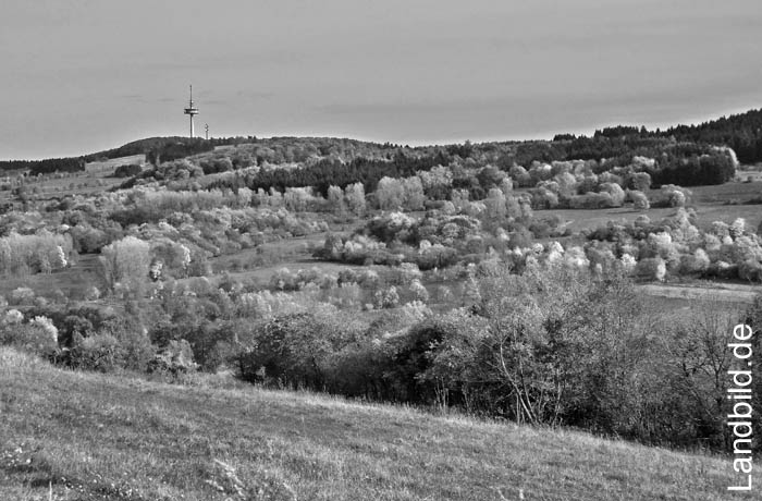 Hoherrodskopf1100371