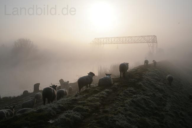 Nebel_9187