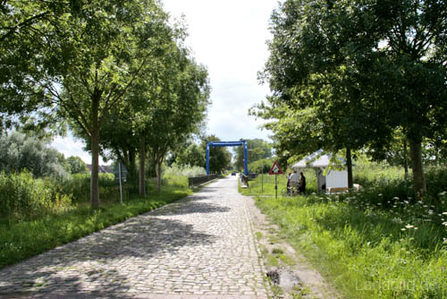 Dornbusch_0434