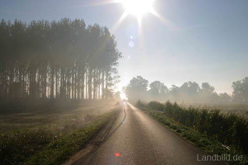 Ostercadewisch_8490