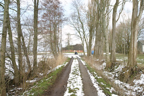 Suederdeich_1184