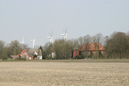 Kehdingbruch_2555