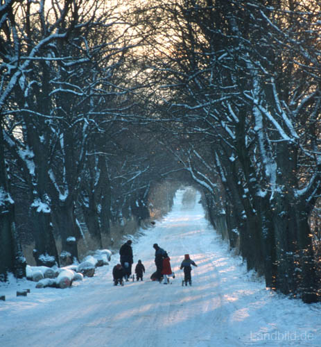 Winter-Faehrstueck_10