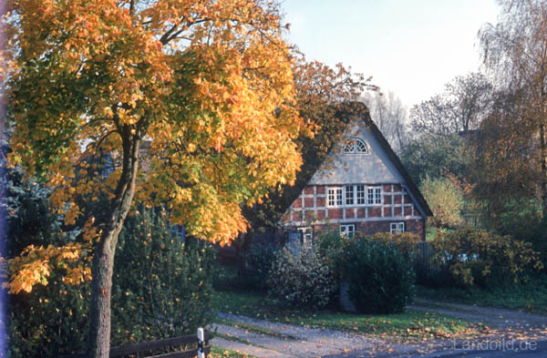 Bentwisch_04