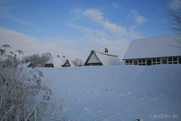 W-Ostedeich_7962