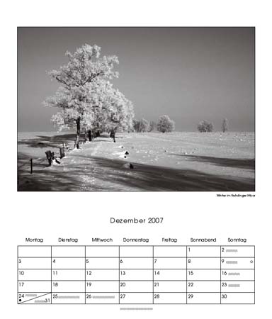 12-Winter, Kehdinger Moor