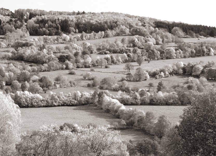 Breungegshain1100378