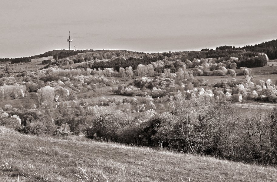 Hoherrodskopf1100371